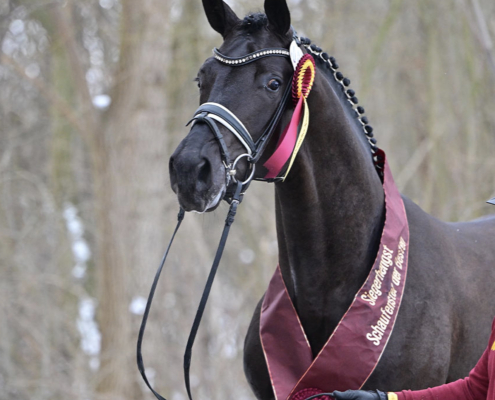 Bloomingdale x Millennium web